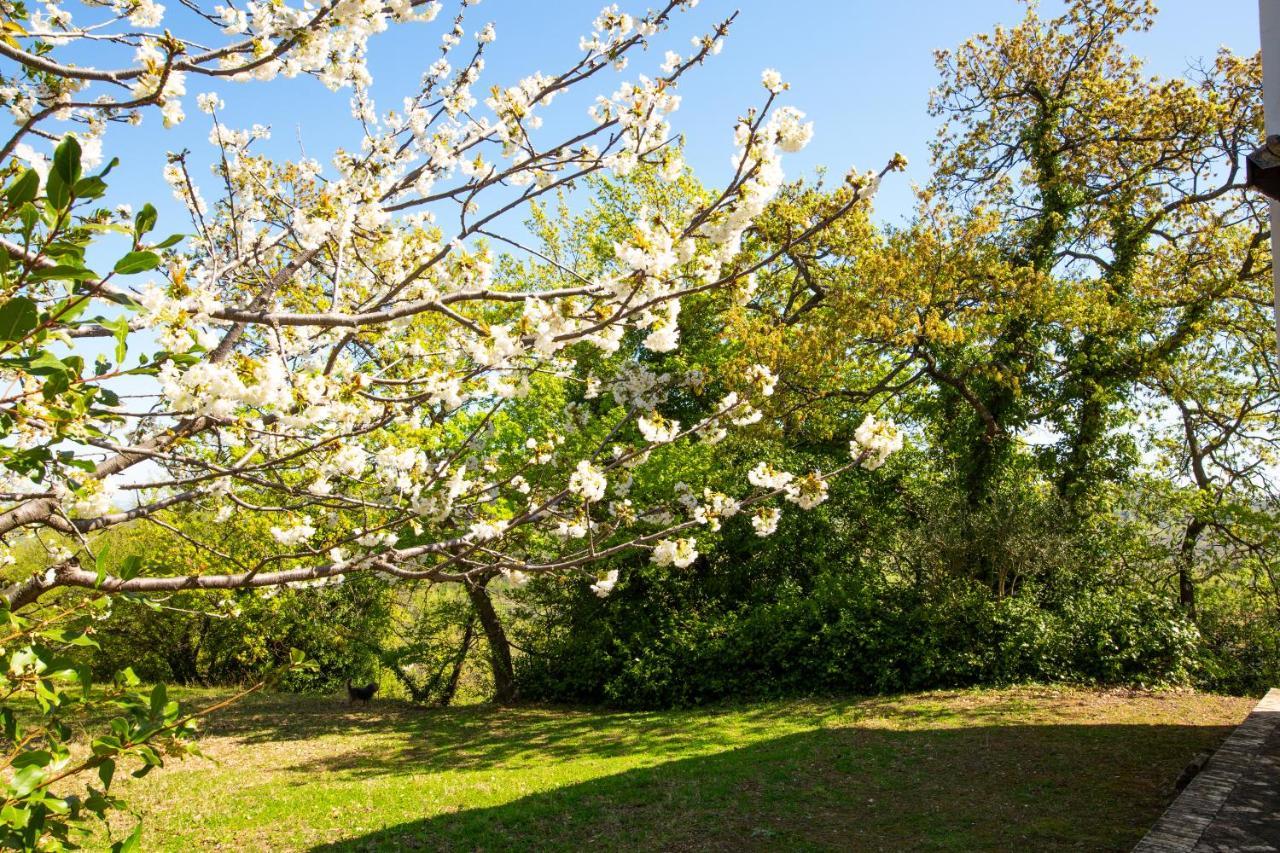 Villa Pardi Manoppello エクステリア 写真